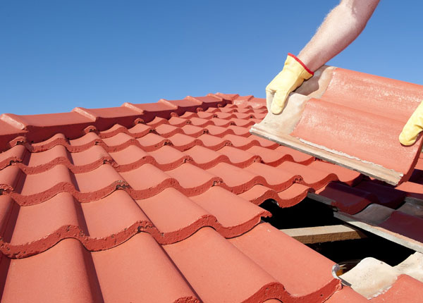 About Wisner NE Roofers